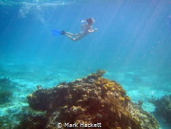 Snorkeling on Sunset Reef on the East Side of Grand Cayma... by Mark Hackett 